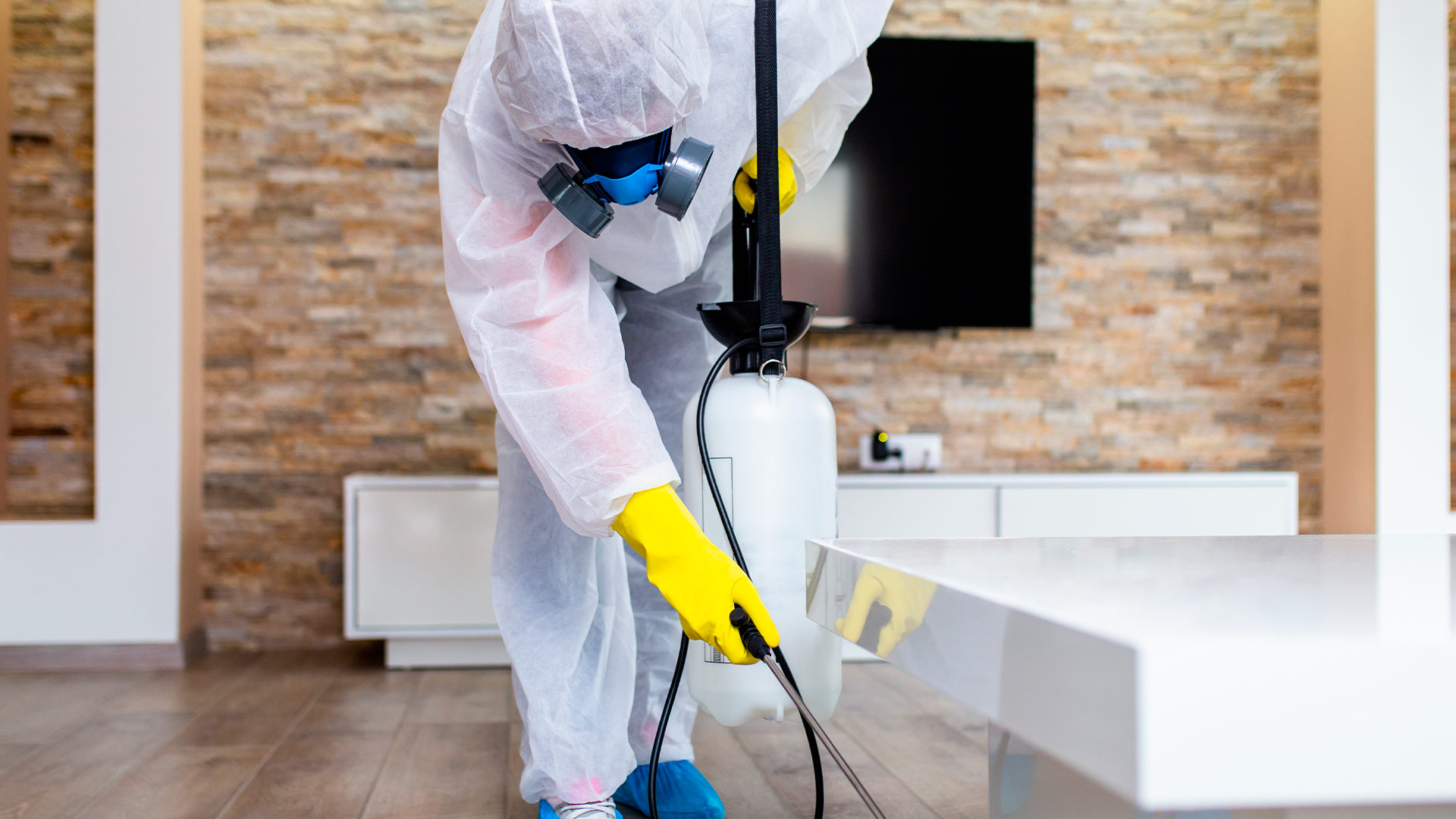Safe Pest Removal Non-Toxic Options for Homeowners